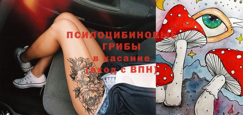 хочу   Краснозаводск  Галлюциногенные грибы Magic Shrooms 